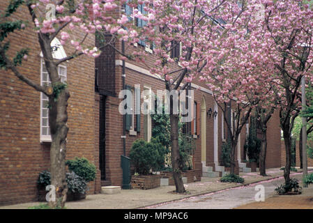 1988 HISTORICAL SPRING BLOSSOMS SOCIETY HILL NEIGHBORHOOD PHILADELPHIA PENNSYLVANIA USA Stock Photo