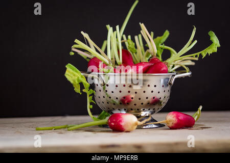 Red Radishes in a small metal colander against a black background Stock Photo