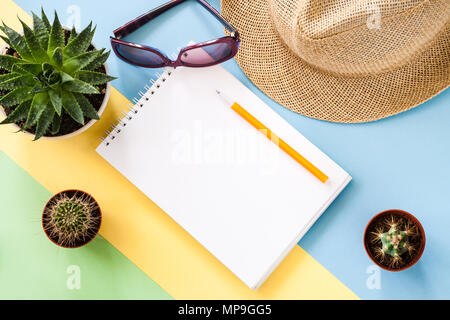 Notepad, two small green cactuses and big succulent, violet glasses and thatch hat on colored background. Flat lay. Stock Photo
