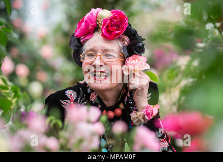 Sue Pollard, comedy actress and singer at the RHS Chelsea Flower Show Stock Photo
