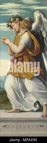 An Adoring Angel    .   905 Moretto da Brescia - An Adoring Angel (1) - Google Art Project Stock Photo