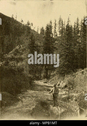 'First report of game and fish warden for New Mexico. 1909-1910-1911' (1912) Stock Photo