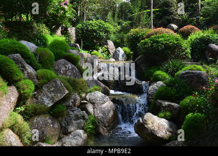 Pahang, Malaysia - 19 MAY 2018 :Japanese garden at Berjaya Hill Resort Stock Photo