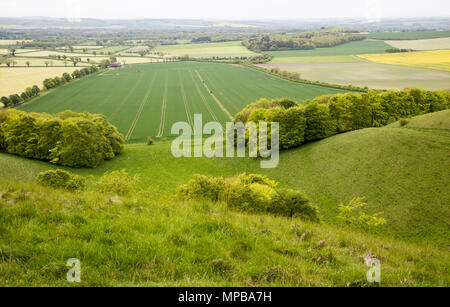 Chalk escarpment scarp slope, Pewsey Downs chalk grassland, Vale of Pewsey, Wiltshire, England, UK looking south to Woodborough Stock Photo