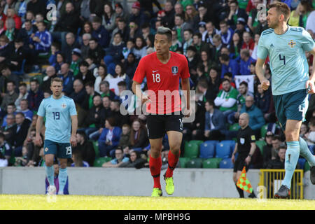 24 March 2018. International Football firendly 2018, Northern Ireland v South Korea at Windsor Park, Belfast. (18) Kim Shin-wook South Korea. Stock Photo