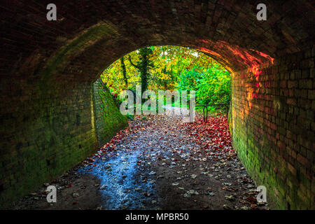 A bridge at Baggeridge Country Park in the West Midlands. Stock Photo