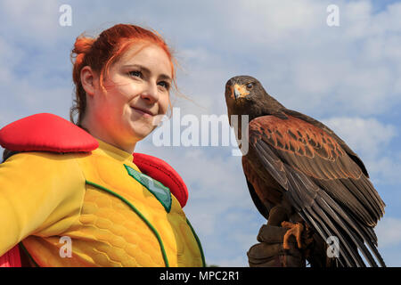 ZSL Whipsnade, Bedfordshire, 22nd May 2018. Captain Z in her zoo-superhero element with another flying hero - ZSL's 24yr old female Harris’s hawk (Parabuteo unicinctus) named Sierra. The animals of ZSL Whipsnade Zoo meet their new superhero, Captain Z. The planetary protector, who has been created by ZSL for the Superheroes and Villains event during May half term, is introduced to the animals of ZSL Whipsnade. Credit: Imageplotter News and Sports/Alamy Live News Stock Photo