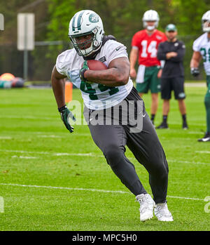 New York Jets Lawrence Thomas (44) practices at the NFL football team's ...