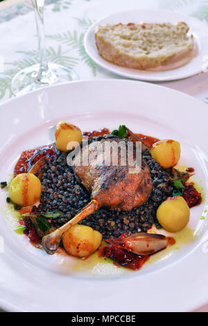 duck leg with lentils in a white plate Stock Photo