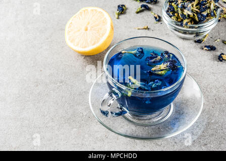 Healthy drinks, organic blue butterfly pea flower tea with limes and lemons, grey concrete background copy space Stock Photo