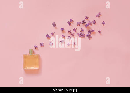 Creative still life. Perfume and blooming flowers of purple lilac on pale pink. Concept spread of fragrance. View from above Stock Photo