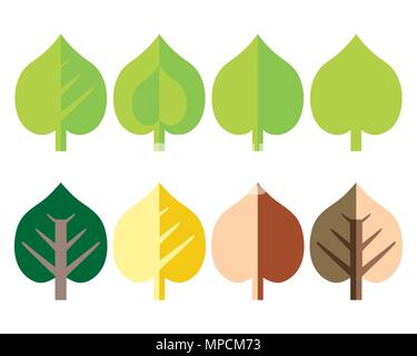 Set a stylized flat design leaf and tree linden suitable for a logo or advertising for a bio - vector Stock Vector