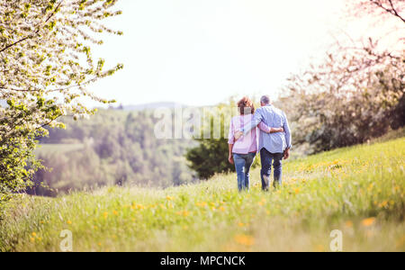 Senior couple walking arm in arm outside in spring nature. Stock Photo