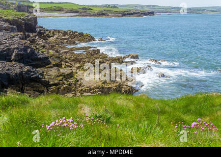 A view from the coastal path between Moelfre and Lligwy on Anglesey, North Wales, UK. Taken on a spring day in May with waves washing on to rocks. Stock Photo