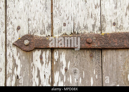 hinge on barn door Stock Photo