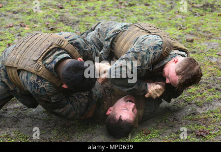 Cpl. Austin Richards grapples with Sgt. Abel Hernandez and Cpl. Austin Hardin during the culminating event of the Martial Arts Instructor course aboard Marine Corps Air Station Cherry Point, N.C., Feb. 3, 2017. The course included various mentally and physically demanding events such as; hikes, ground fighting and weapons training. The three-week course teaches the Marines the skills necessary to properly instruct the Marine Corps Martial Arts Program to fellow Marines. Richards is a flight equipment technician assigned to Marine Medium Tiltrotor Squadron 261, Marine Aircraft Group 26, 2nd Mar Stock Photo