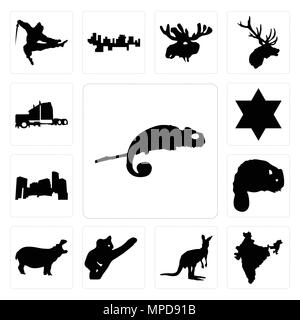 Set Of 13 simple editable icons such as chameleon, india, kangaroo outline on white background, koala, hippo, beaver, minnesota, star of david, semi t Stock Vector