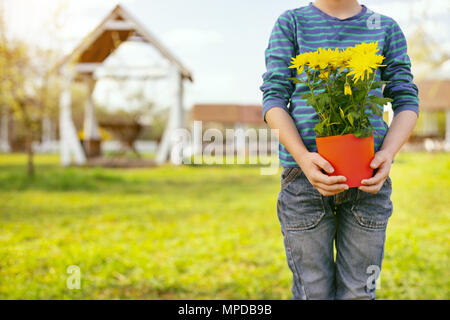 Pleasant young boy holding flowers Stock Photo