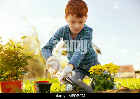 Serious nice boy being concentrated on work Stock Photo