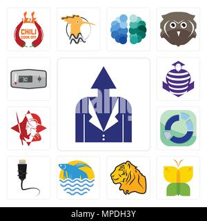 Set Of 13 simple editable icons such as personal development, buterfly, tiger, betta fish, ethernet, sector, spartan, purple cobras, thermostat can be Stock Vector