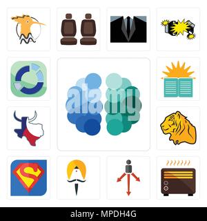 Set Of 13 simple editable icons such as free brain, heater, approach, sikh, s, tiger, made in texas, sunday school, sector can be used for mobile, web Stock Vector