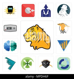 Set Of 13 simple editable icons such as tiger, sector, honey badger, extend, stealth bomber, yield, free brain, hoopoe, thermostat can be used for mob Stock Vector