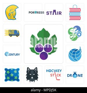 Set Of 13 simple editable icons such as grape leaves, , hockey stick, wolf face, pillow, logistics company, century, cyclist, free delivery can be use Stock Vector
