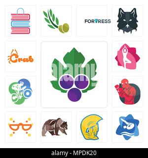 Set Of 13 simple editable icons such as grape leaves, swim and dive, warrior head, grizzly bear, masquerade, boxer, cyclist, yoga studio, crab can be  Stock Vector