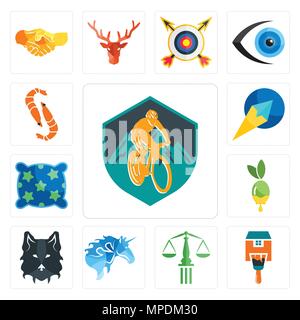 Set Of 13 simple editable icons such as mountain bike, home paint, scales of justice, , wolf face, olive oil, pillow, paper plane, shrimp can be used  Stock Vector