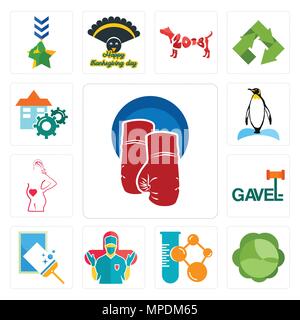 Set Of 13 simple editable icons such as boxing gloves, cabbage, chemical company, surgeon, window cleaning, gavel, maternity, penguin, facility can be Stock Vector