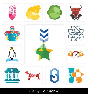 Set Of 13 simple editable icons such as military, chemical company, s hexagon, year of the dog, bank, speedometer, penguin, celtic knot, surgeon can b Stock Vector