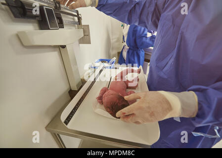 Doctor weight newborn baby on scale in hospital background Stock Photo