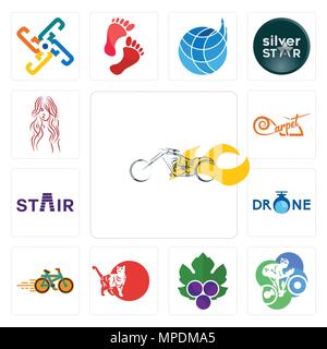 Set Of 13 simple editable icons such as chopper, cyclist, grape leaves, cat, bike shop, , stair, carpet, long hair can be used for mobile, web UI Stock Vector