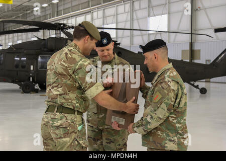 Maj. Gen. Doug M. Chalmers, deputy commanding general for support, III Corps, presents Lt. Col. Aaron M. McPeake and Command Sgt. Maj. Jose A. Cruz, leaders of the 601st Aviation Support Battalion, 1st Combat Aviation Brigade, 1st Infantry Division, with the Lt. Gen. Ellis D. Parker Award for the best combat service support battalion Feb. 28 on Marshall Army Airfield. The “Guardians” Soldiers received the prestigious award for their outstanding achievements in leadership, training, maintenance and safety. (Sgt. Takita Lawery, 19th Public Affairs Detachment) Stock Photo