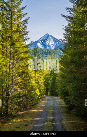 A hiking and mountain biking trail near Slocan Lake in British Columbia, Canada Stock Photo