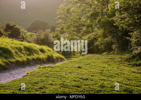 Wolstonbury Hill basking in late afternoon sunshine - South Downs, West Sussex Stock Photo