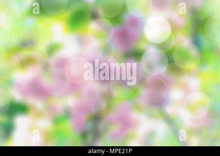 colorful bokeh backgrounds, onion blurred color bokeh backgrounds Stock Photo