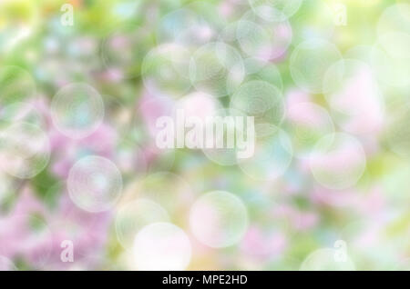 colorful bokeh backgrounds, onion blurred color bokeh backgrounds Stock Photo