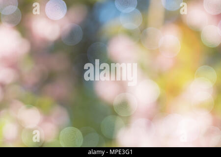 colorful bokeh backgrounds, onion blurred color bokeh backgrounds Stock Photo