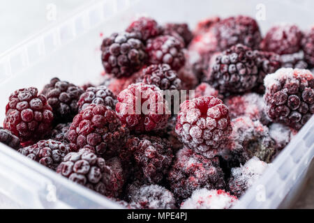 Frozen Blackberry in Plastic Box. Organic Fruit. Stock Photo