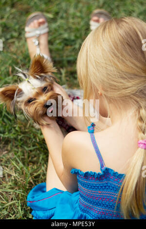 Girl 5 years old back to the camera plays with Yorkshire Terrier Stock Photo