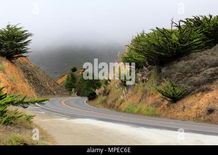 Road in the fog leading to Half Moon Bay. California Stock Photo