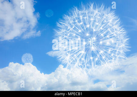Light and airy dandelion on a blue background with clouds. Blowball as a symbol of lightness, low-calorie food, travel and flight. Stock Photo