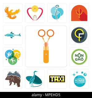 Set Of 13 simple editable icons such as scissors, house cleaning, taksi, heron, free bear, non gmo, swim bike run, qf, fishing team can be used for mo Stock Vector