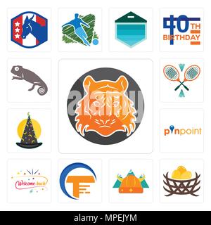 Set Of 13 simple editable icons such as bengal tiger, bird nest, norse, traders, welcome back, pinpoint, wizard hat, badminton, chameleon can be used  Stock Vector