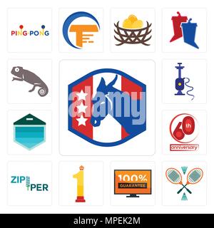 Set Of 13 simple editable icons such as democratic party, badminton, 100 guarantee, no.1, zipper, 60th anniversary, garage door, shisha, chameleon can Stock Vector