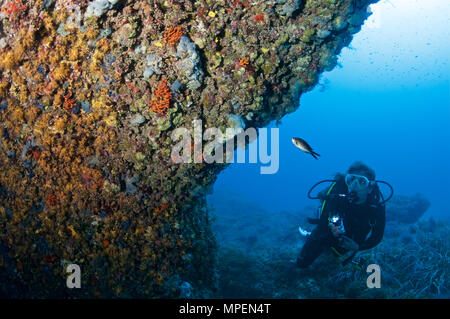 Underwater scene with a female scuba diver with torch looking at reef marine life in Ses Salines Natural Park (Formentera, Mediterranean sea, Spain) Stock Photo