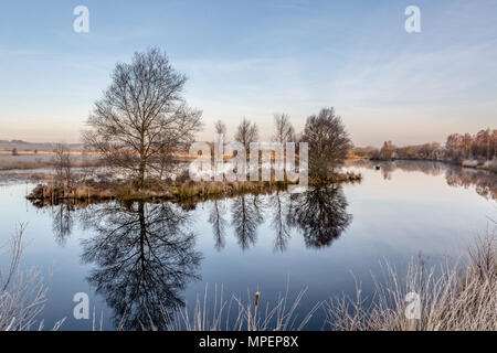 Trees in the middle of a lake on Cors Caron National nature reserve in Wales Stock Photo