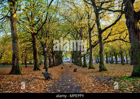 Pathway down a London park partially covered in fall leaves. Stock Photo