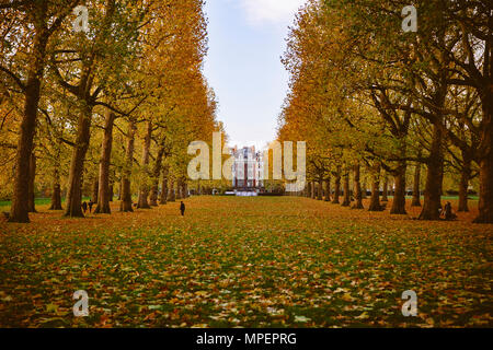 Pathway down a London park partially covered in fall leaves. Stock Photo